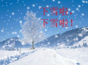 毛不易冬至送广州，一场雪的温暖与感动