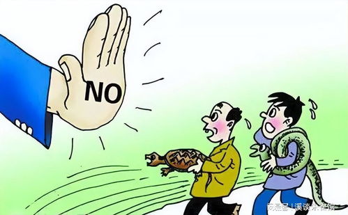 专家警告，被蛇咬后，这九大土方法危险，切勿轻信